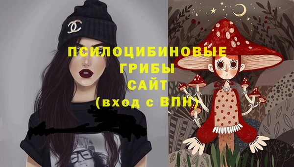 крисы Надым