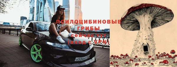 шишки Переславль-Залесский