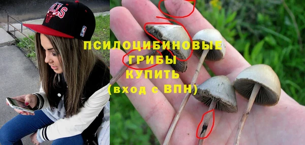 шишки Переславль-Залесский